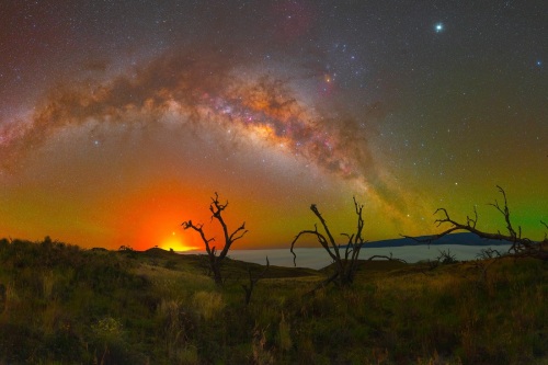 Koa trees, fissure 8, and the Milky Way