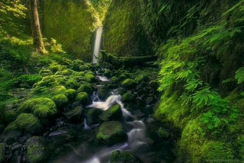 A return to splendor