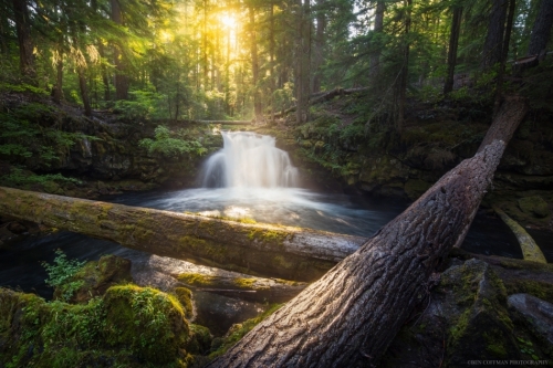 Morning at Whitehorse Falls, Oregon