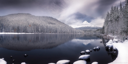 Mt Hood and a wintery Trillium, 2015