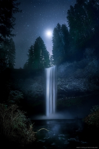 Venus in firs