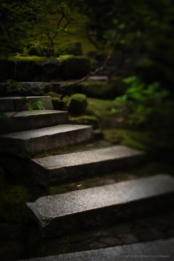 Liminal-spaces-in-the-Portland-Japanese-Garden-10