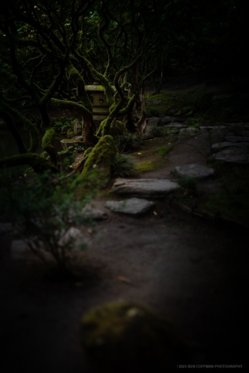 Liminal-spaces-in-the-Portland-Japanese-Garden-14