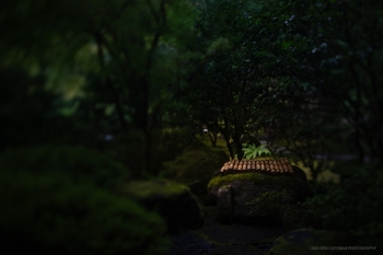 Liminal-spaces-in-the-Portland-Japanese-Garden-3