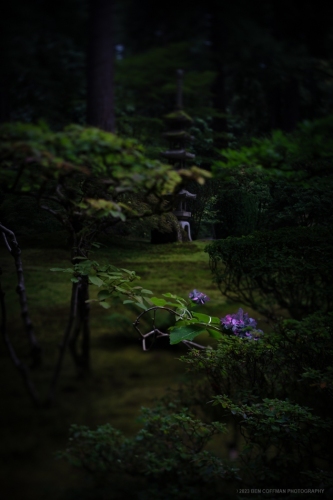 Liminal-spaces-in-the-Portland-Japanese-Garden-15